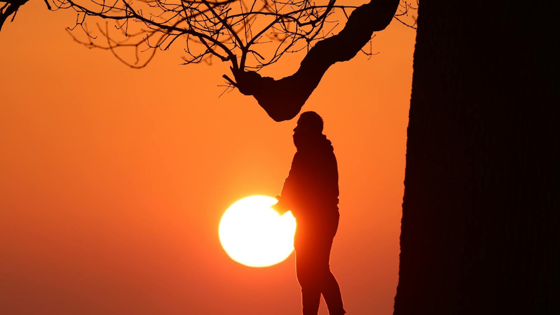 Silhouette of a person moving in a rhythmic way against dawn light